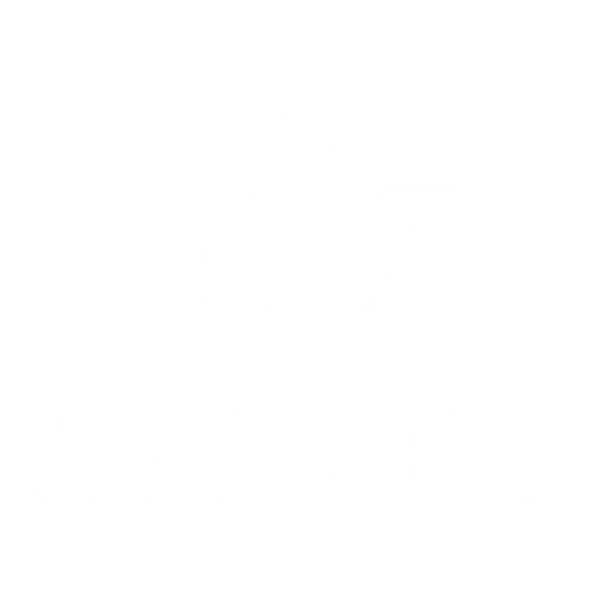 Dr Watson